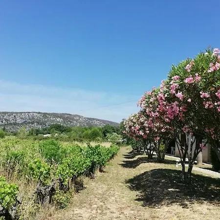 Maison A Louer En Ardeche Du Sud Saint-Martin-dʼArdèche Extérieur photo