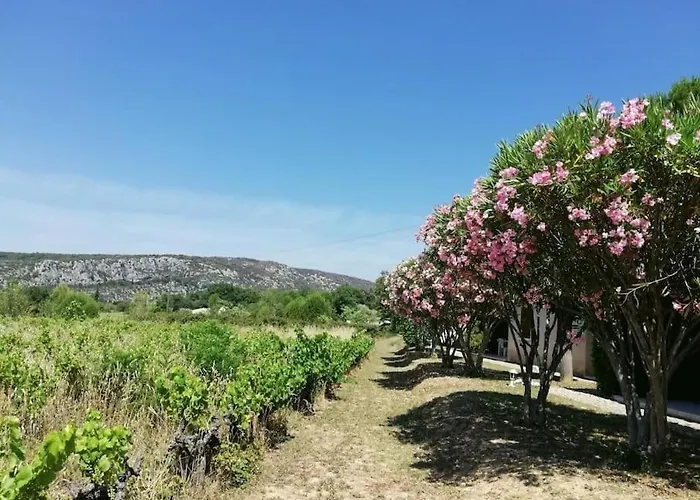 Maison A Louer En Ardeche Du Sud
